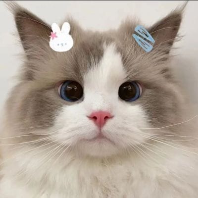 Phạm Quốc Khánh avatar